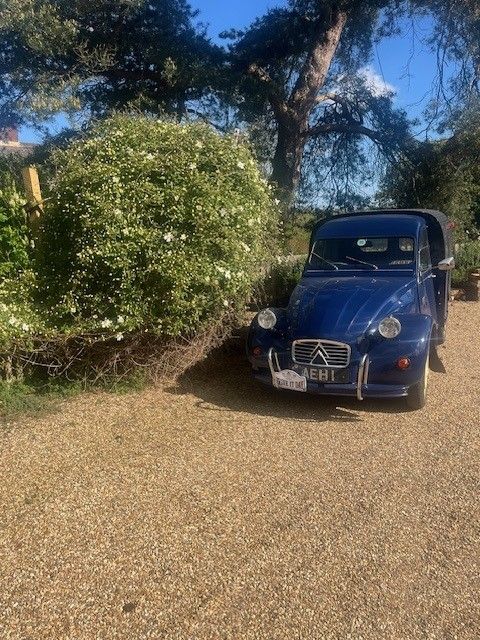 Drive It Day photo 2026