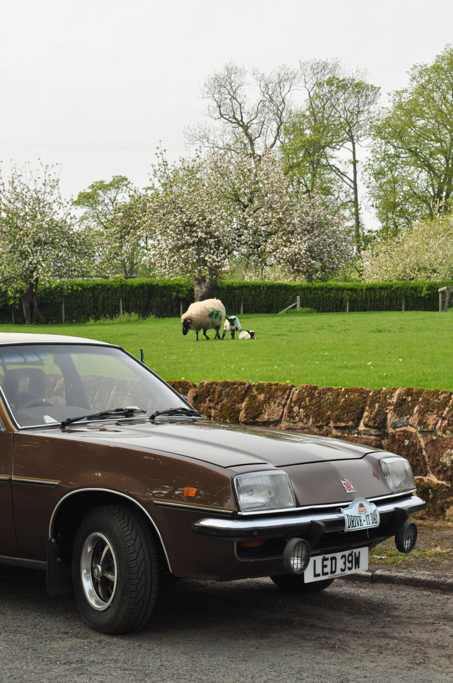 Drive It Day photo 2026